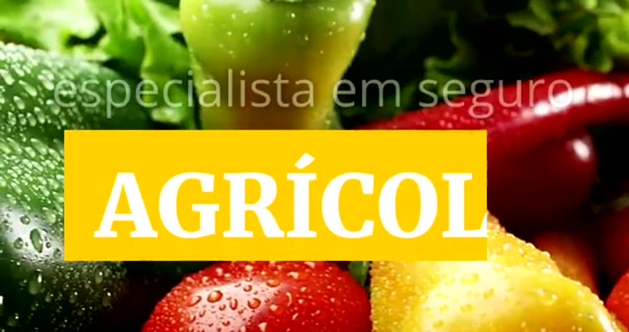 Campanha AgroNaveen 01